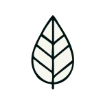 eco-friendly-leaf-sustainable-decor Illustration of a leaf representing Finestilo’s eco-friendly luxury home decor and sustainable practices.